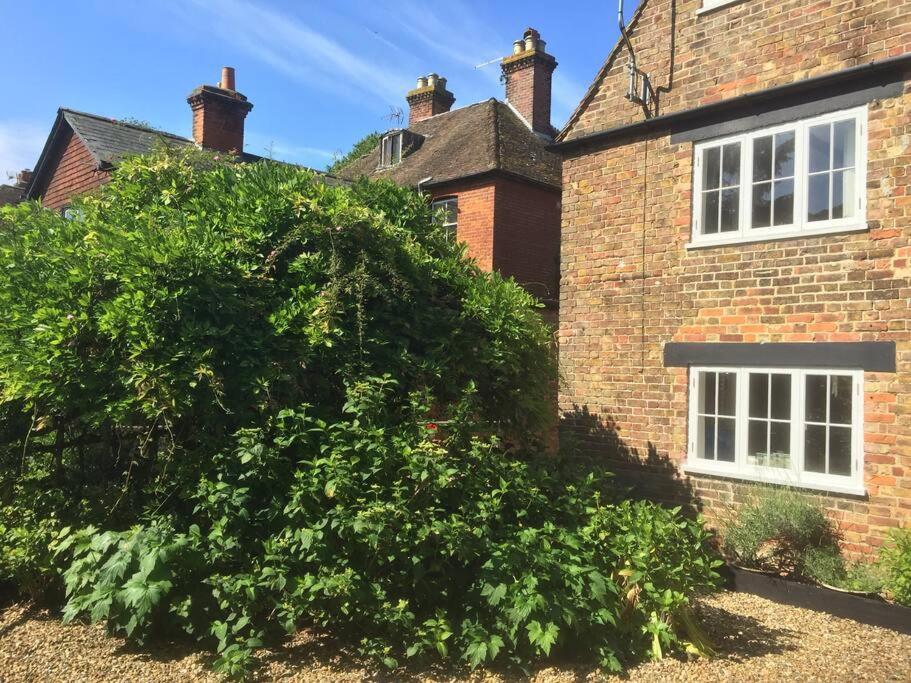 Wingham Beautiful 500 Year Old Listed Kentish Cottage المظهر الخارجي الصورة