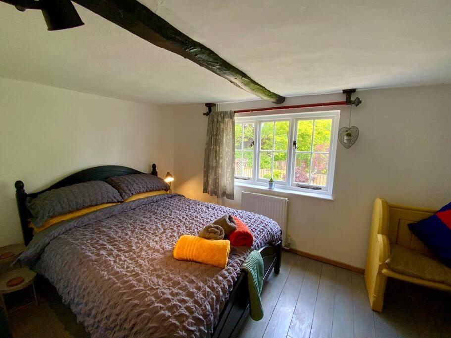 Wingham Beautiful 500 Year Old Listed Kentish Cottage المظهر الخارجي الصورة