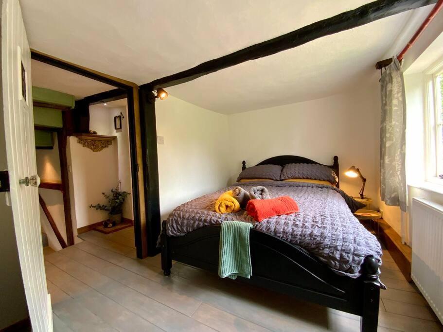 Wingham Beautiful 500 Year Old Listed Kentish Cottage المظهر الخارجي الصورة