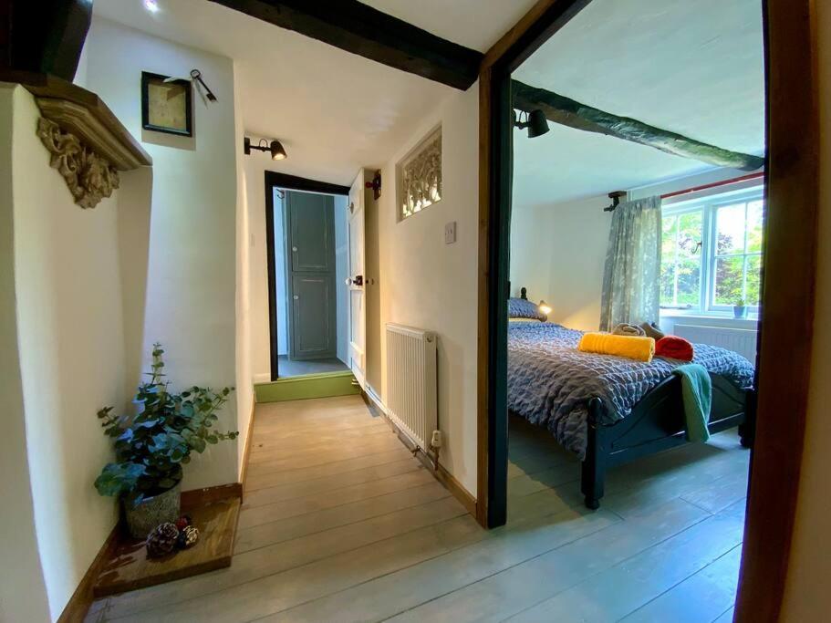 Wingham Beautiful 500 Year Old Listed Kentish Cottage المظهر الخارجي الصورة